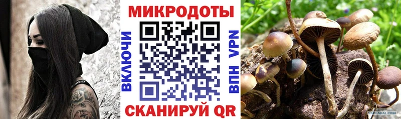 Галлюциногенные грибы MAGIC MUSHROOMS  Купить закладки  Хадыженск 