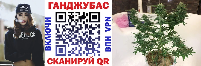 Каннабис SATIVA & INDICA  Купить закладки  Хадыженск 